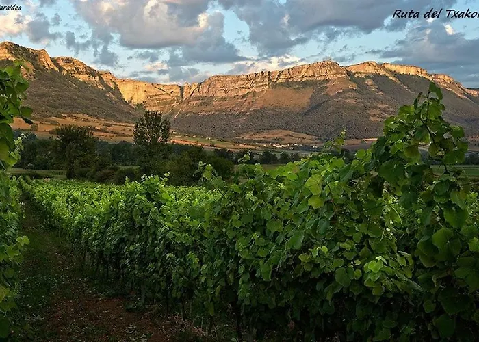 Mendiko Baserria Amurrio